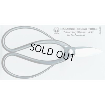 画像1: No.0051  剪定鋏(新製品)