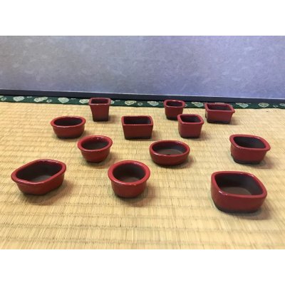 画像2: No.303  文山豆盆栽鉢1.5号12点セット　赤