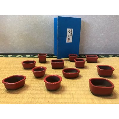 画像3: No.303  文山豆盆栽鉢1.5号12点セット　赤