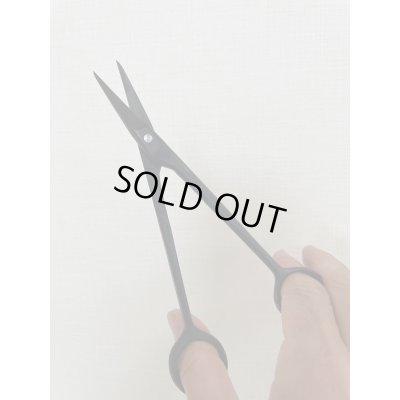 画像6: No.0005  五葉芽つみ鋏