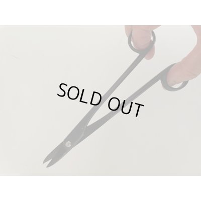 画像6: No.0003  芽つみ鋏