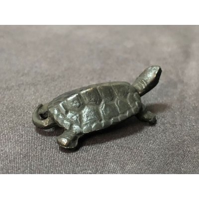 画像5: No.ENSS0009  亀(小)尾