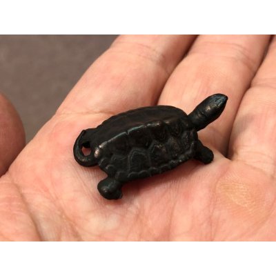 画像6: No.ENSS0009  亀(小)尾