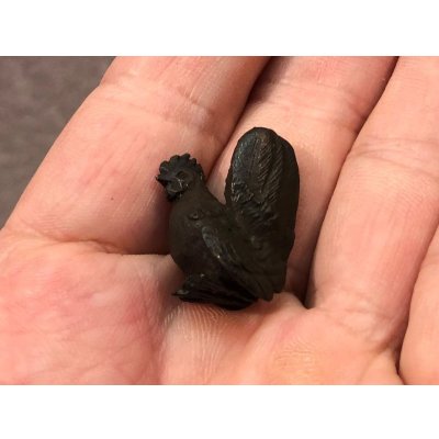 画像6: No.ENSS0012  チャボ（メス）