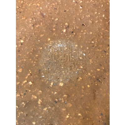 画像5: No.EA0170  鴻陽