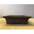 画像1: No.EA0193 <br>和泉屋 (1)