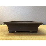 No.EA0193  和泉屋