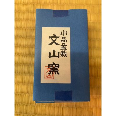 画像6: No.MP8A-01  豆鉢6点セット(板付き)