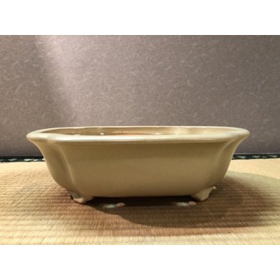 画像1: No.EA0296  黎鳳