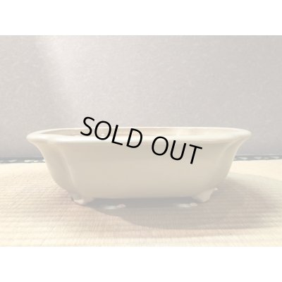 画像1: No.EA0296  黎鳳