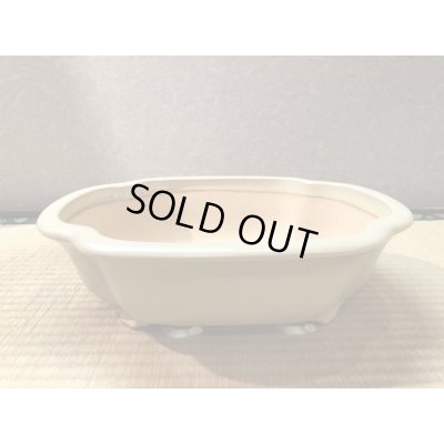 画像2: No.EA0296  黎鳳