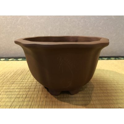 画像1: No.EB0080  中古鉢