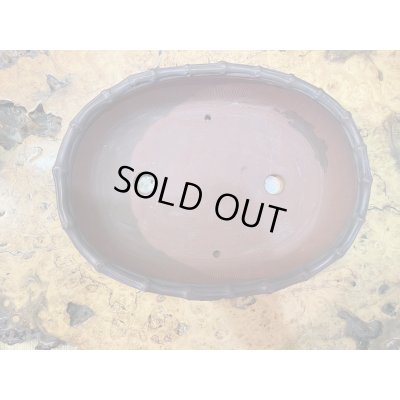 画像4: No.HR3557  美芸 特選鉢(木箱入)