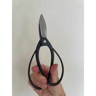 画像6: No.0101  特製黒磨剪定鋏