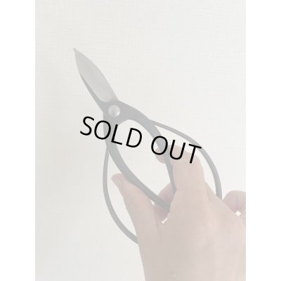 画像5: No.0051  剪定鋏(新製品)