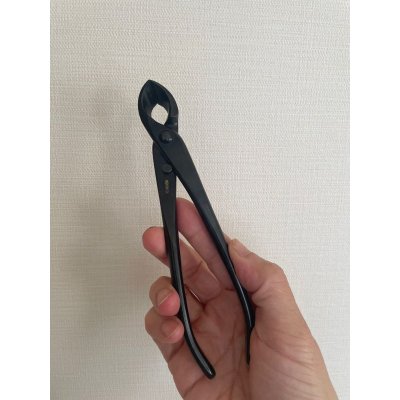 画像5: No.0516  特製又枝切(小)*