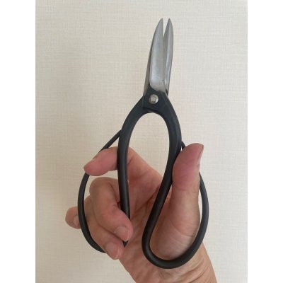 画像4: No.S-1  特許剪定鋏