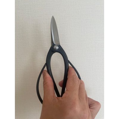 画像6: No.S-1  特許剪定鋏