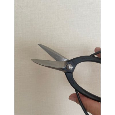 画像5: No.S-1  特許剪定鋏