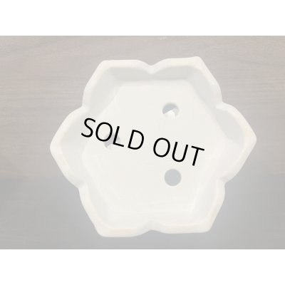 画像8: No.DA41209 鴻陽