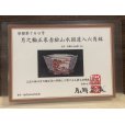 画像10: No.DA41209 鴻陽