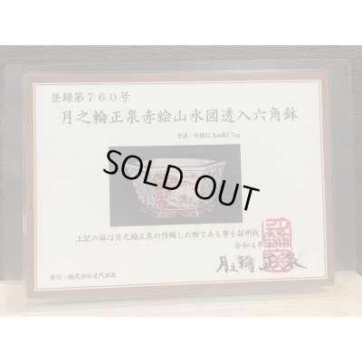 画像10: No.DA41209 鴻陽