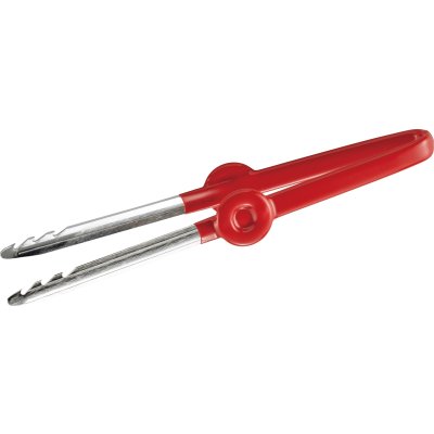 画像1: No.1798  虫草とりーな