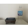画像6: No.12A-5A <br>盆栽鉢セット 5個入り (6)