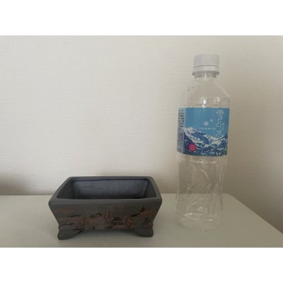 画像6: No.12A-5A  盆栽鉢セット 5個入り