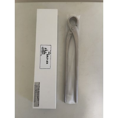 画像1: No.TB1005  昌国　白染めさつき用根切