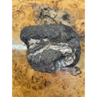 画像5: No.HA3549  （産地不明）