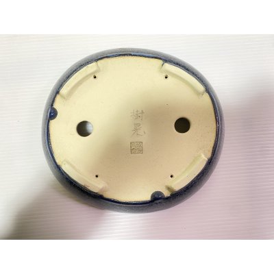 画像4: No.DA41212 樹晃