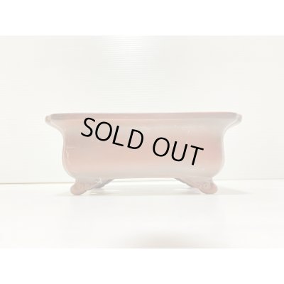 画像2: No.DA41220 美芸