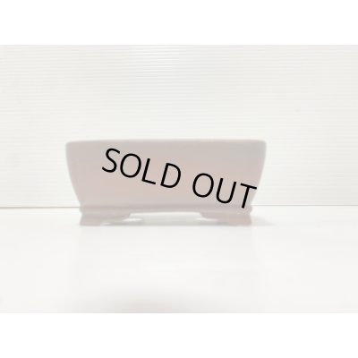 画像2: No.DA41230 美芸