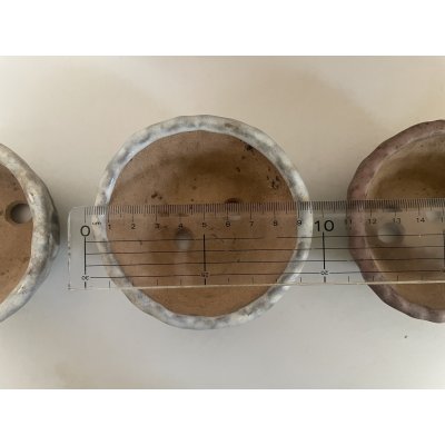画像6: No.TB0801  中古ミニ盆栽鉢４個セット（木箱付き）