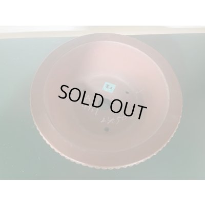 画像2: No.KA4417 美芸