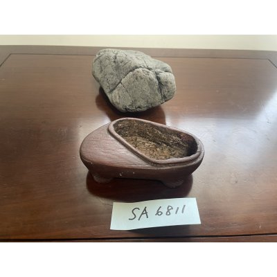 画像3: No.SA6811 安倍川芽舎石