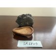 画像3: No.SA6823<br>加茂川芽舎石 (3)