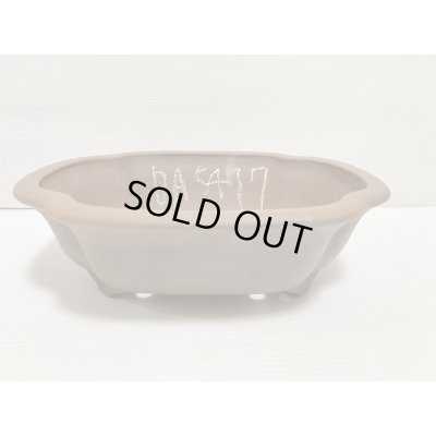 画像1: No.DA5417 黎鳳