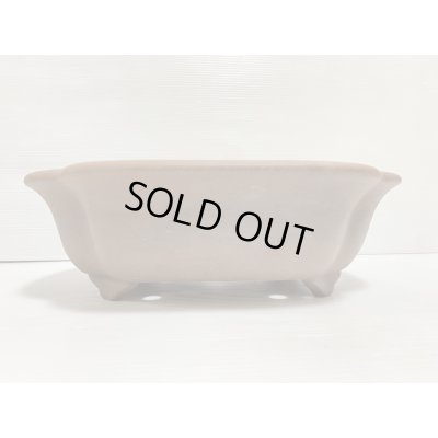 画像2: No.DA5417 黎鳳