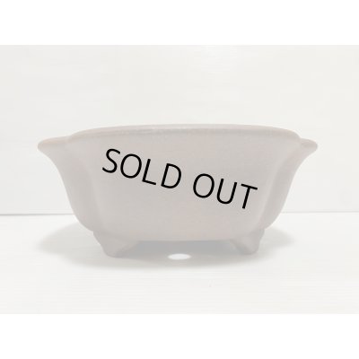 画像3: No.DA5417 黎鳳