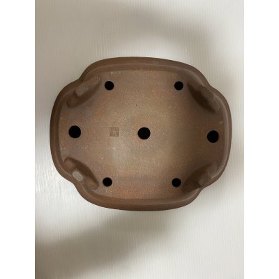 画像5: No.DA5417 黎鳳