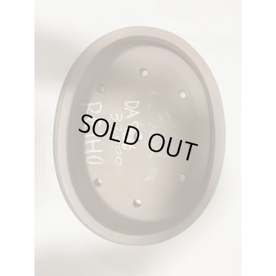 画像4: No.DA5426 黎鳳