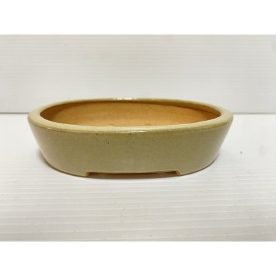 画像1: No.DA5445 黎鳳