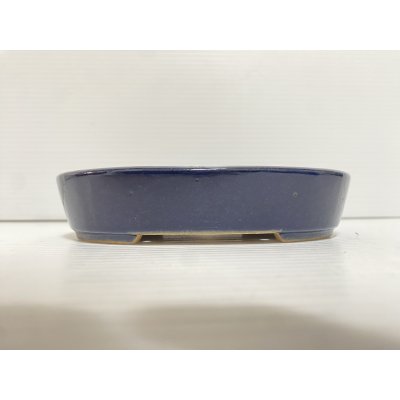 画像2: No.DA5446 黎鳳