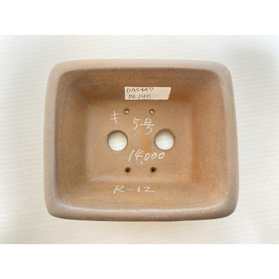画像3: No.DA5447 黎鳳