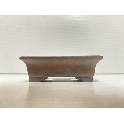 画像2: No.DA5448 黎鳳