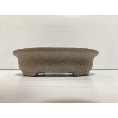 画像2: No.DA5449 黎鳳