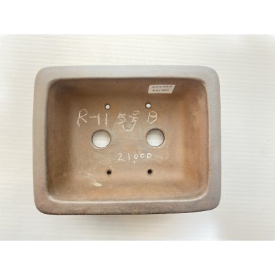 画像4: No.DA5450 黎鳳