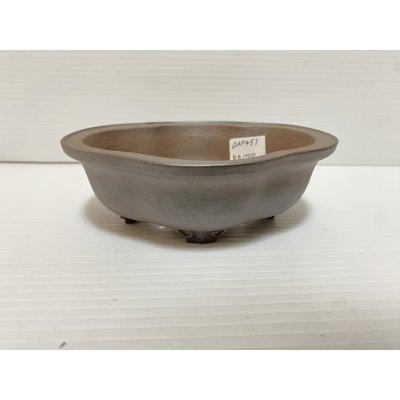 画像1: No.DA5451 黎鳳